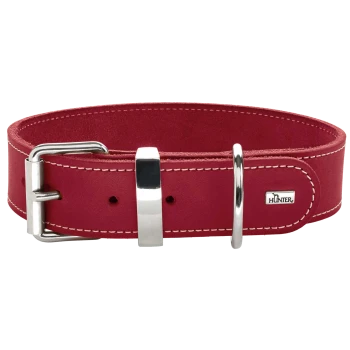 Roter Lederhalsband für Hunde mit silberner Metallschnalle und D-Ring, mit weißer Naht und kleinem 'HUNTER'-Logo.