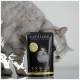 Eine graue Katze schaut hinter einem "CAT'S LOVE" Futterpaket hervor, das ein schwarzes Design mit einer weißen Katze und dem Text "Huhn Pur" zeigt.