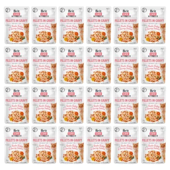 Paczki Brit Care Fillets w sosie dla dorosłych kotów, z delikatnym indykiem i smacznym łososiem, wyeksponowane w układzie siatki.