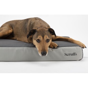 Ein brauner Hund ruht auf einem grauen Scruffs Haustierbett, mit dem Kopf am Rand und einem entspannten Ausdruck.