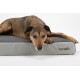 Orthop. Hundebett ArmourDillo XL