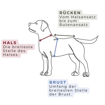 Illustration eines Hundes mit beschrifteten Maßen: "Hals", "Rücken" und "Brust" auf Deutsch.