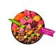 Futterschüssel mit rohem und gekochtem Fleisch, Erbsen, Karotten und Kartoffel; Etikett 'wie frisch zubereitet* / comme fraichement cuisine*'.