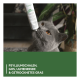 Graue Katze schnüffelt an einer Tube mit der Aufschrift 'Digestion'; grüner Banner: PSYLLIUMSCHALEN, GOS, ULMENRINDE & GETROCKNETES GRAS.