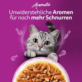 Whiskas Nassfutter Katze Adult, Multipack, 1+ Gemischte Auswahl, in Sauce  24x85 g | FRESSNAPF
