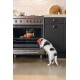Small white and brown dog wearing a red bandana looking into an open oven with a stuffed dog toy inside.