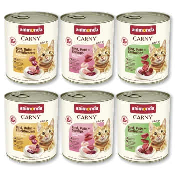 Sechs Animonda CARNY-Dosen für erwachsene Katzen mit Bild einer orangefarbenen Katze; Etiketten zeigen animonda, CARNY und Geschmacksbezeichnungen auf Deutsch.