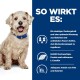Ein flauschiger Hund mit einem blauen Halsband sitzt neben einem blauen Hintergrund, der Text über niedrigen Zuckergehalt, Ballaststoffmix, Protein und L-Carnitin-Vorteile enthält.