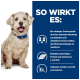 Ein flauschiger Hund mit einem blauen Halsband sitzt neben einem blauen Hintergrund, der Text über niedrigen Zuckergehalt, Ballaststoffmix, Protein und L-Carnitin-Vorteile enthält.