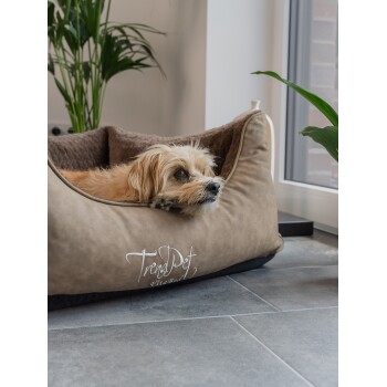Ein kleiner, hellbrauner Hund ruht seinen Kopf auf einem plüschigen, tanfarbenen Haustierbett mit "TrendPet vitaBed" auf der Seite, umgeben von Zimmerpflanzen.
