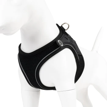 Schwarzes atmungsaktives Hundegeschirr aus Mesh mit reflektierendem Rand und Metall-Leinenring an weißem Hundemannequin.