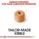 Kibble designed for Labrador Retrievers, featuring a round piece of kibble with a hole in the center, labeled "Tailor-Made Kibble."