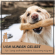 Ein Golden Retriever hält glücklich einen großen Kauknochen im Mund, mit dem Text "VON HUNDEN GELIEBT für langanhaltendes Kauvergnügen" darunter.