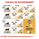 Infographie détaillant les directives d'alimentation des chats en fonction du poids, montrant les quantités quotidiennes recommandées de nourriture pour différents niveaux d'activité.