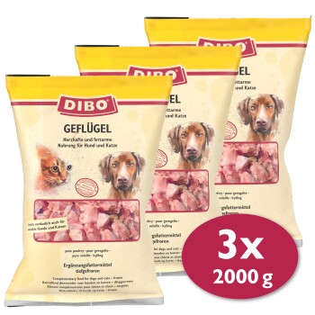 Drei Beutel DIBO Geflügel Haustierfutter, gekennzeichnet als fettarme Ernährung für Hunde und Katzen, jeder enthält 2000 g.