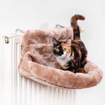 Eine dreifarbige Katze sitzt auf einem plüschigen, beigen Katzenbett, das an einem weißen Heizkörper befestigt ist, und schaut neugierig in die Kamera.