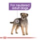 Sterilised Adult Pouch 12x85g 12x85 g