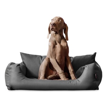 NEMO Hundebett Hundesofa S M L Hundekorb Katzenbett 65 80 100cm grau/ grau 80 cm, 22 cm, 60 cm