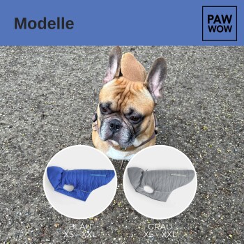 Ein Französischer Bulldogge in einem Geschirr steht auf Kies, mit blauen "BLAU XS-XXL" und grauen "GRAU XS-XXL" Hundejacken, die darunter angezeigt werden.