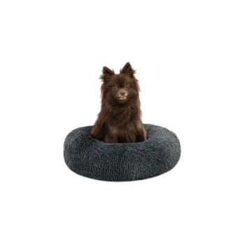 Ein flauschiger brauner Pomeranian-Hund sitzt in einem runden, weichen, dunkelgrauen Haustierbett.