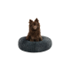 Ein flauschiger brauner Pomeranian-Hund sitzt in einem runden, weichen, dunkelgrauen Haustierbett.