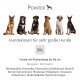 Bild von großen Hunderassen mit einem 3XL Hundebett, beschriftet mit "Hundekissen für sehr große Hunde", für Hunde mit einer Rückenlänge von bis zu 86 cm.