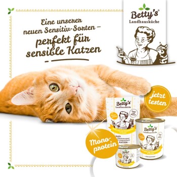 Oranger Kater liegt auf dem Rücken, mit Verpackung für Betty's Landhausküche Katzenfutter, die den Text "Mono-Protein" und "jetzt testen" zeigt.