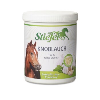 Stiefel Knoblauch 1 kg