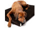 Brauner Hund ruht auf einem schwarzen, rechteckigen Plüsch-Hundebett mit kleinem Stoffetikett.