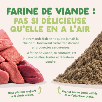 Viande crue (à gauche) contre farine de viande (à droite) avec le titre français «FARINE DE VIANDE : PAS SI DÉLICIEUSE».
