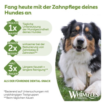 Hund kaut einen Zahnpflegesnack mit deutschem Text: „Fang heute mit der Zahnpflege deines Hundes an“, „Täglich 1× kauen“, „Reinigt 2× besser“, „Hält 3× länger“, Whimzees Wellness.