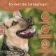 Ein lächelnder Hund mit Halsband vor einem verschwommenen grünen Hintergrund. Text: "Fördert die Zahnpflege!" mit Symbolen für zahnmedizinische Vorteile.