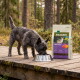 Petit chien hirsute mangeant dans une gamelle métallique sur une passerelle en bois à côté d'un sac de nourriture pour chiens étiqueté « WILDERNESS Rocky Hills ».