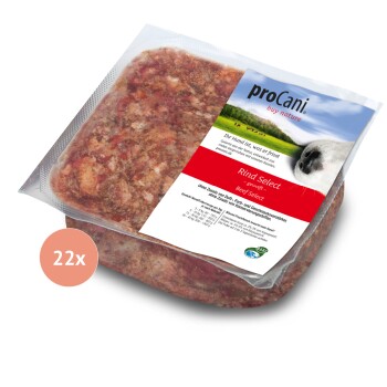 Ein quadratisches, weißes Geschirr gefüllt mit rohem Hundefutter, mit einer Mischung aus Hackfleisch und sichtbaren Gemüsestücken, auf einer Holzoberfläche platziert.