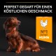 Adult Small & Mini Age Defence 9+ Huhn 7 kg