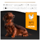 Ein brauner Dackel sitzt auf einem schwarzen Hintergrund mit dem Text "PERFEKT GEGART FÜR EINEN KÖSTLICHEN GESCHMACK" und einem orangefarbenen "N°1 ZUTAT HUHN"-Label.