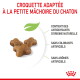 Croquettes pour chaton avec icône de feuille ; titre en français sur la petite mâchoire du chaton ; texte : antioxydants naturels ; sans additifs artificiels.
