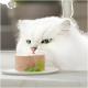 Un chat blanc duveteux avec des yeux verts renifle curieusement un morceau rond de nourriture pour chat sur une assiette blanche, garni d'une branche de persil.