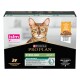 Emballage de nourriture pour chat avec un chat Bengal, étiqueté "Purina Pro Plan Sterilised Adult Maintenance," avec du poulet en sauce.