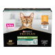 Emballage de nourriture pour chat avec un chat Bengal, étiqueté "Purina Pro Plan Sterilised Adult Maintenance," avec du poulet en sauce.