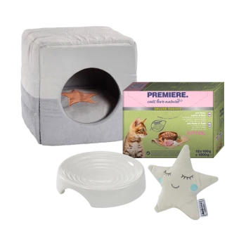 Gemütlicher grauer Katzenwürfel mit einem sternförmigen Eingang, einer weißen Futterschüssel, einem sternförmigen Plüschspielzeug und einer Packung PREMIERE Katzenfutter.