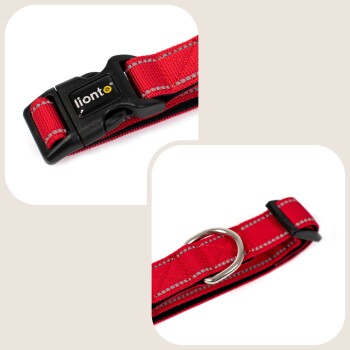 Rote Haustierhalsband mit einer schwarzen Schnalle, die das 'lionto'-Logo trägt, und einem Metall-D-Ring zur Leinenbefestigung.