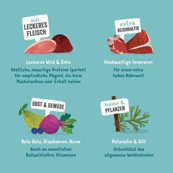 Bild zeigt Zutaten für Haustierfutter: Fleisch gekennzeichnet mit "viel leckeres Fleisch," Obst und Gemüse "Obst & Gemüse," und Kräuter "Kräuter & Pflanzen."