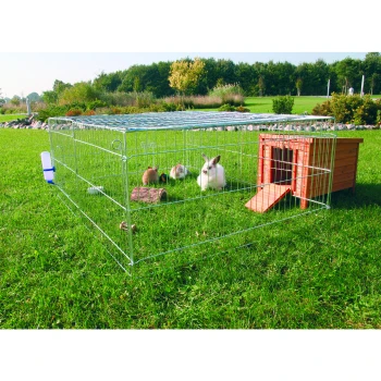 Ein geräumiger Außengehege für Kaninchen mit vier Kaninchen, darunter ein weißes, auf grünem Gras, neben einem Holzunterstand und einem Wasserspender.