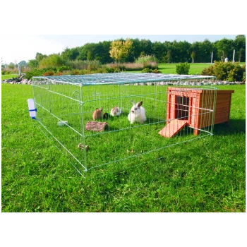 Ein geräumiger Außengehege für Kaninchen mit vier Kaninchen, darunter ein weißes, auf grünem Gras, neben einem Holzunterstand und einem Wasserspender.