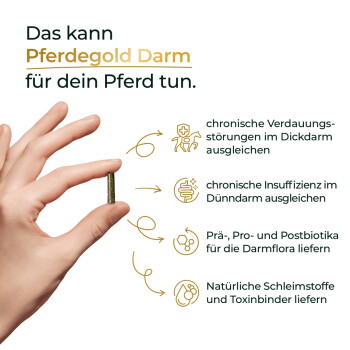 Hand hält ein kleines Pellet neben dem Text 'Das kann Pferdegold Darm für dein Pferd tun.' und einer Auflistung der verdauungsfördernden Vorteile.