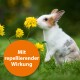 Ein süßer Hase, der gelbe Blumen auf einer grasbewachsenen Wiese schnüffelt, mit einem orangefarbenen Kreisüberlagerung, der "Mit repellierender Wirkung" liest.