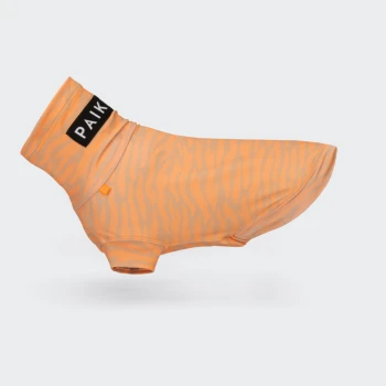 Oranges, tigergestreiftes Hundeshirt mit schwarzem „PAIK“-Etikett am Kragen, auf weißem Hintergrund präsentiert.