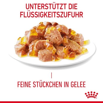 FCN Hairball Care Jelly 12x85 g