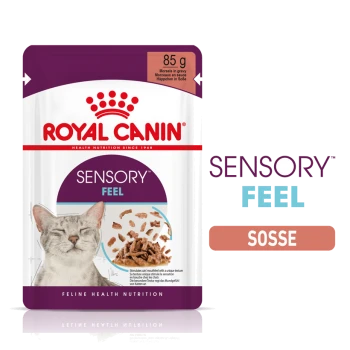 Royal Canin Sensory Feel Katzenfutterbeutel, 85g, mit einer grauen Katze mit geschlossenen Augen, Stückchen in Soße und Text, der die sensorischen Vorteile hervorhebt.